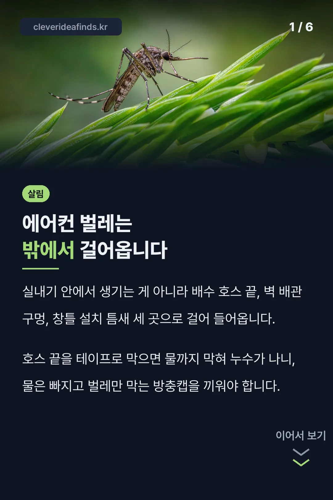 에어컨 벌레는 밖에서 걸어옵니다