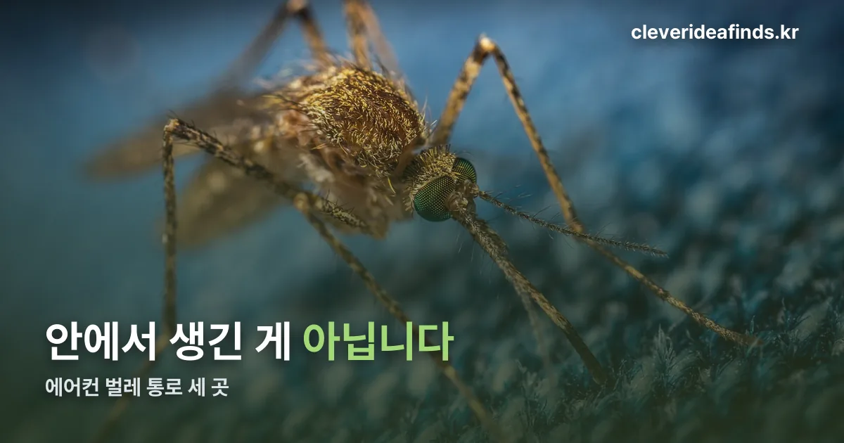 에어컨 벌레 정리 썸네일