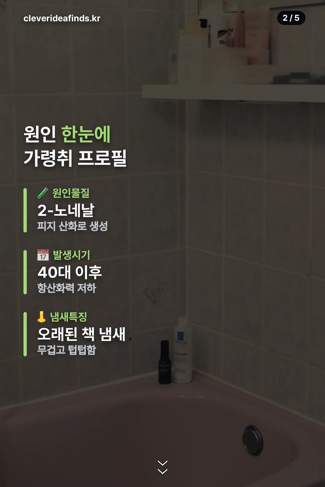 원인 한눈에 보기
