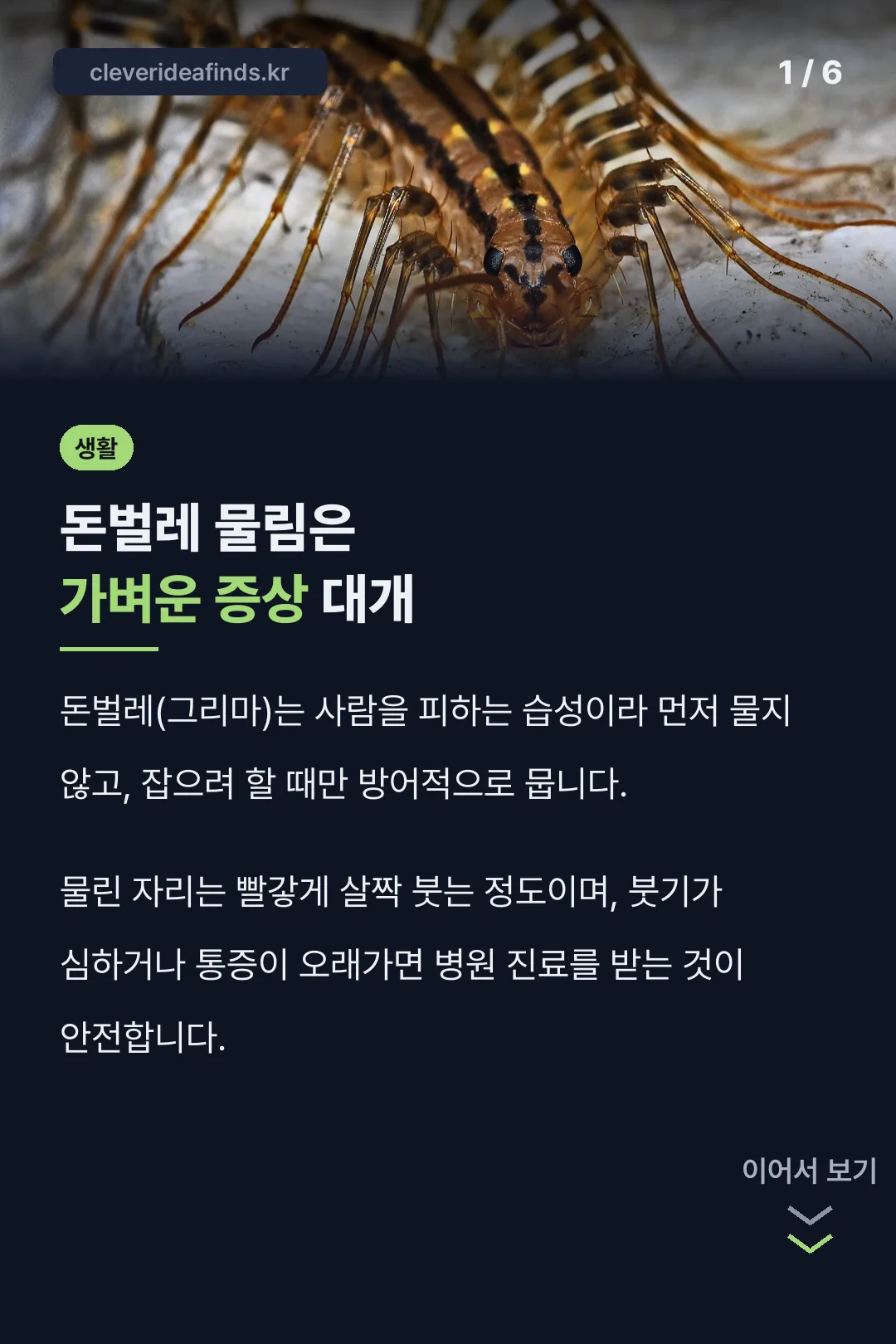 돈벌레 물림은 가벼운 증상 대개