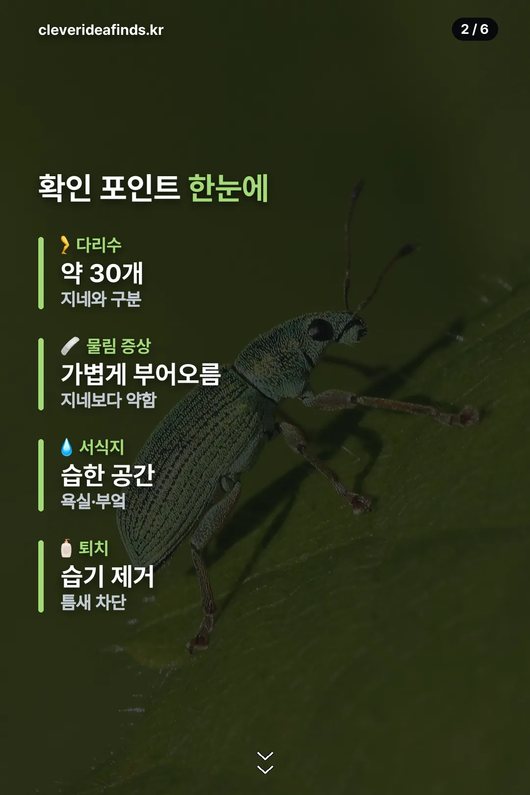 확인 포인트 한눈에