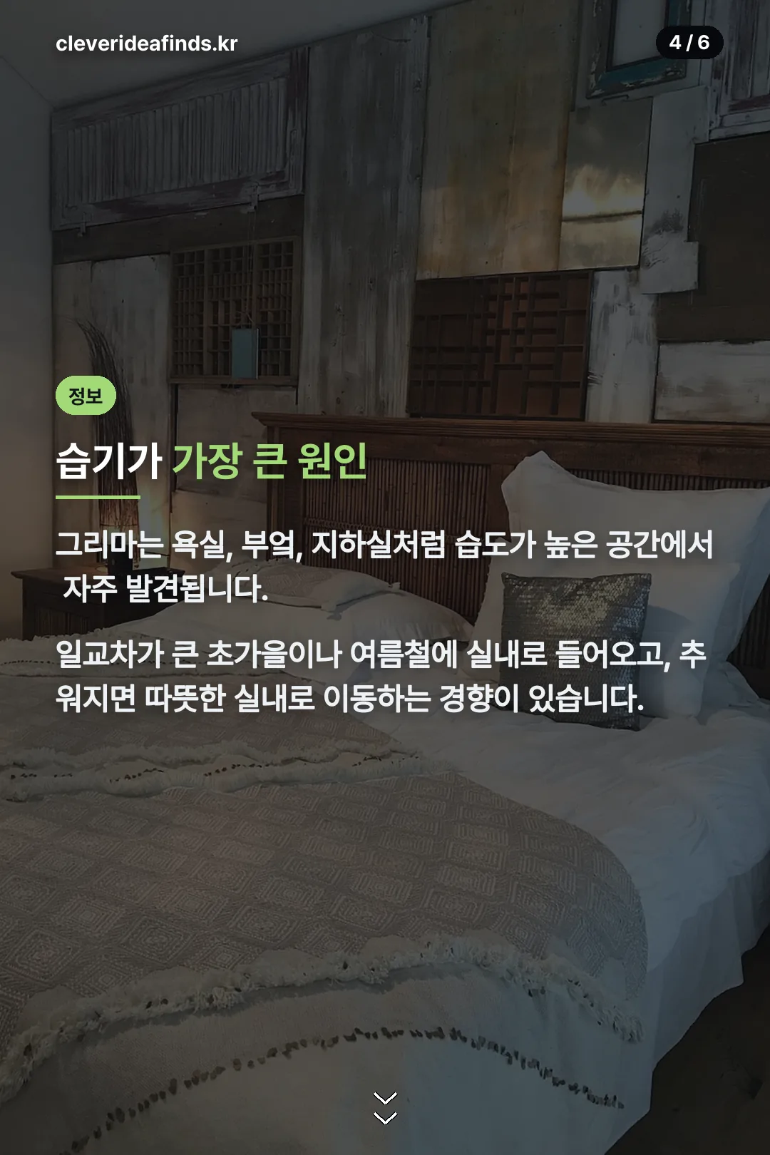 습기 많은 곳에 나타나는 이유