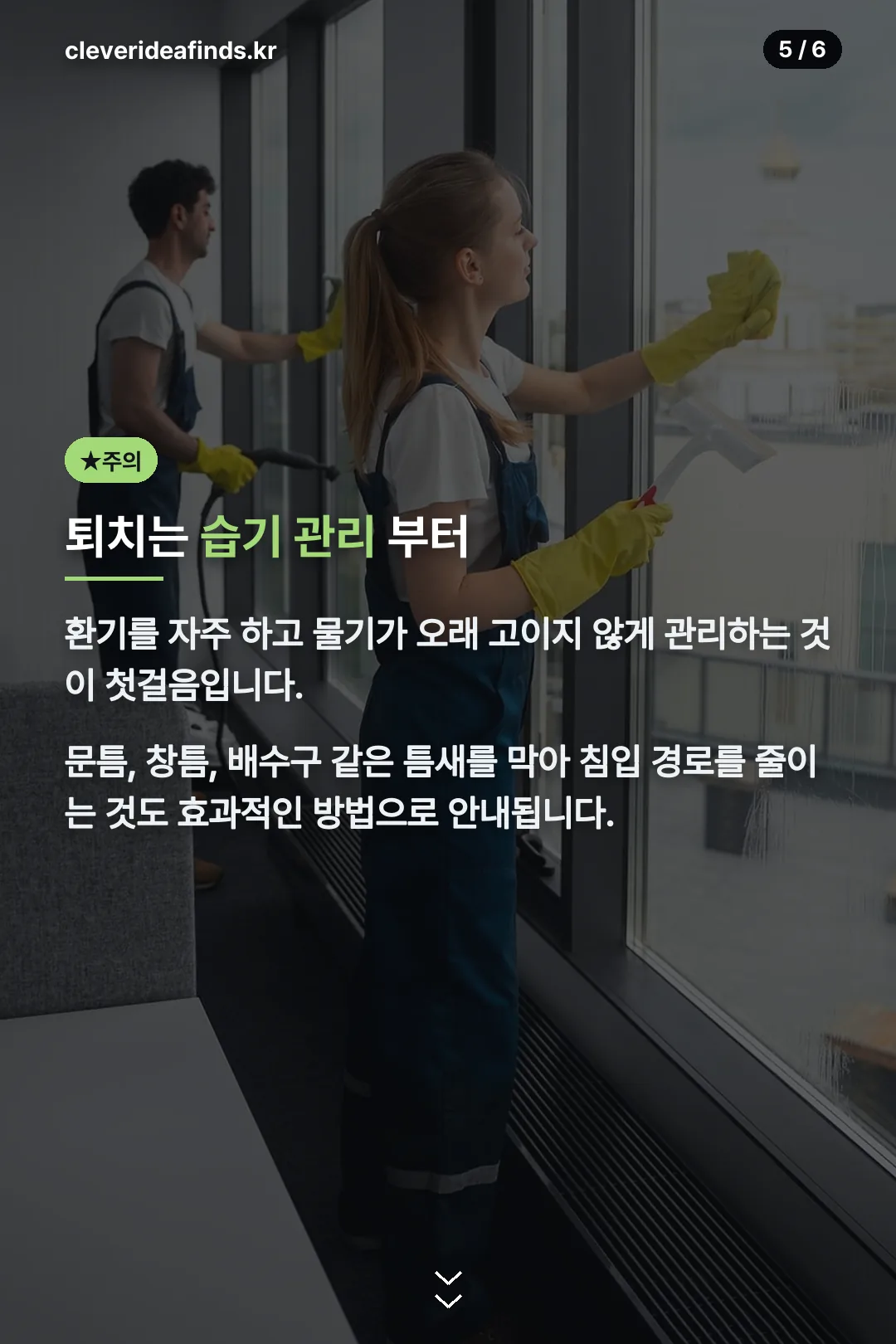 습기 관리 퇴치 방법