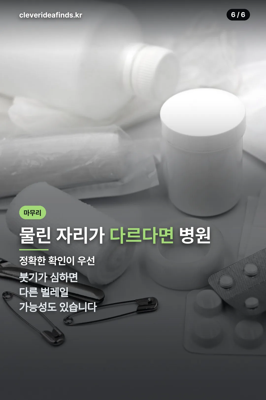 물린 자리가 다르면 병원 확인