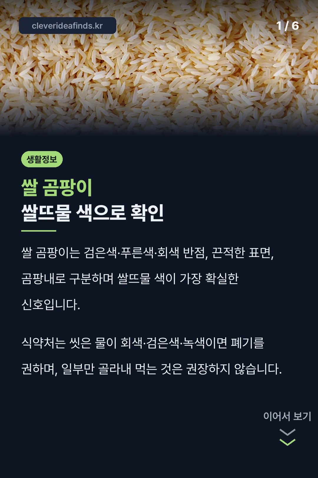 쌀 곰팡이 쌀뜨물 색으로 확인