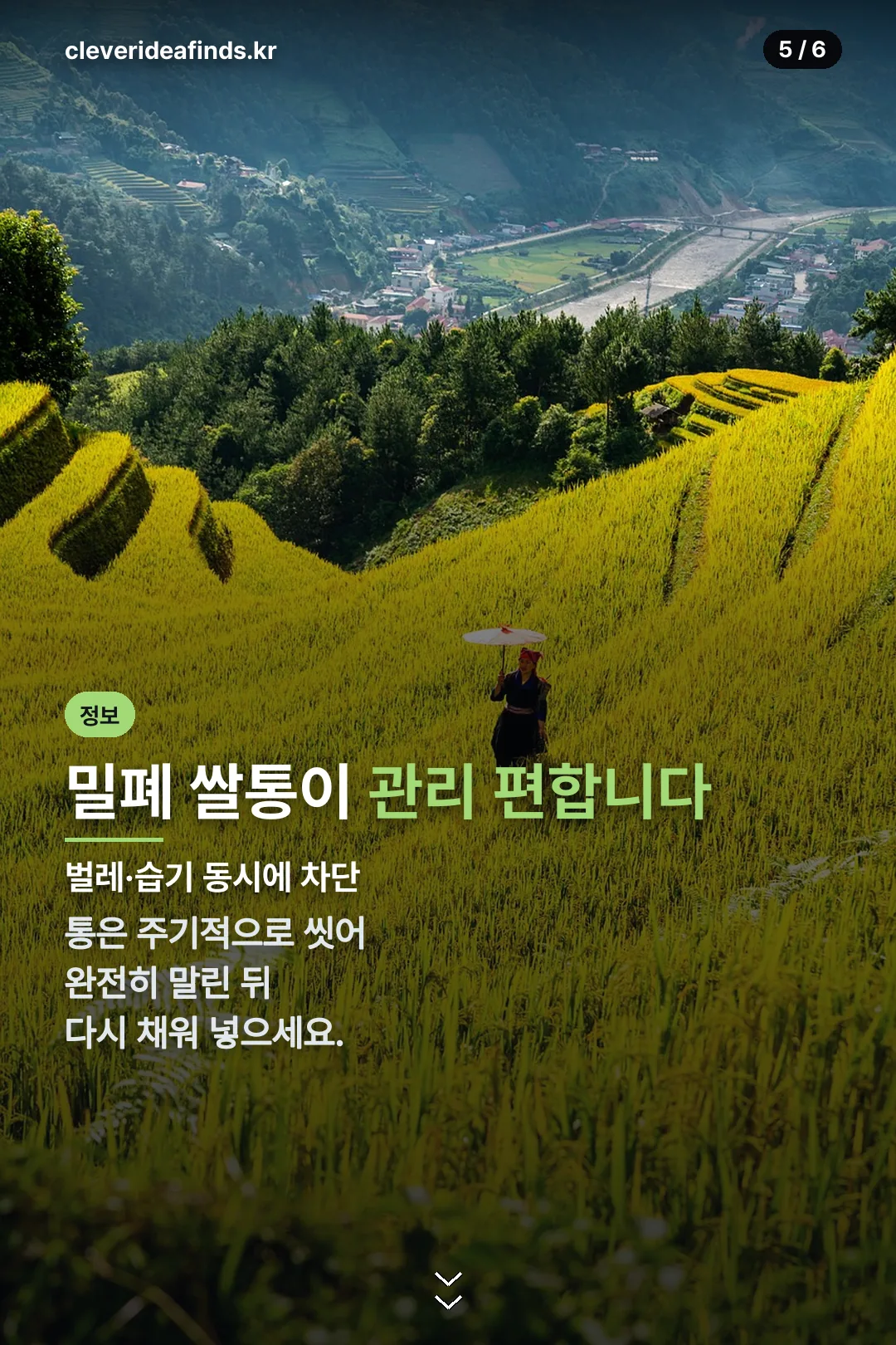 밀폐 쌀통 관리