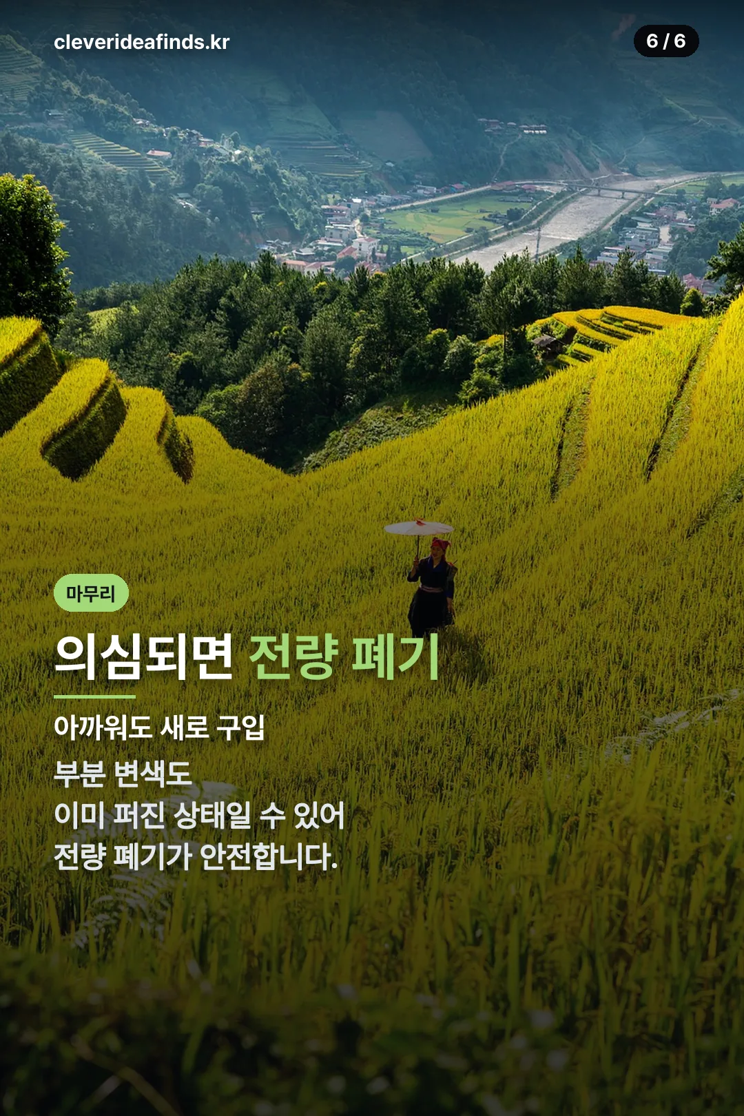 의심되면 전량 폐기