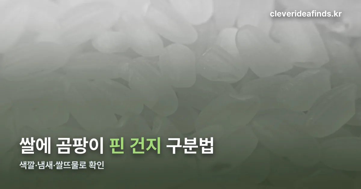 쌀 곰팡이 구분법 정리 썸네일