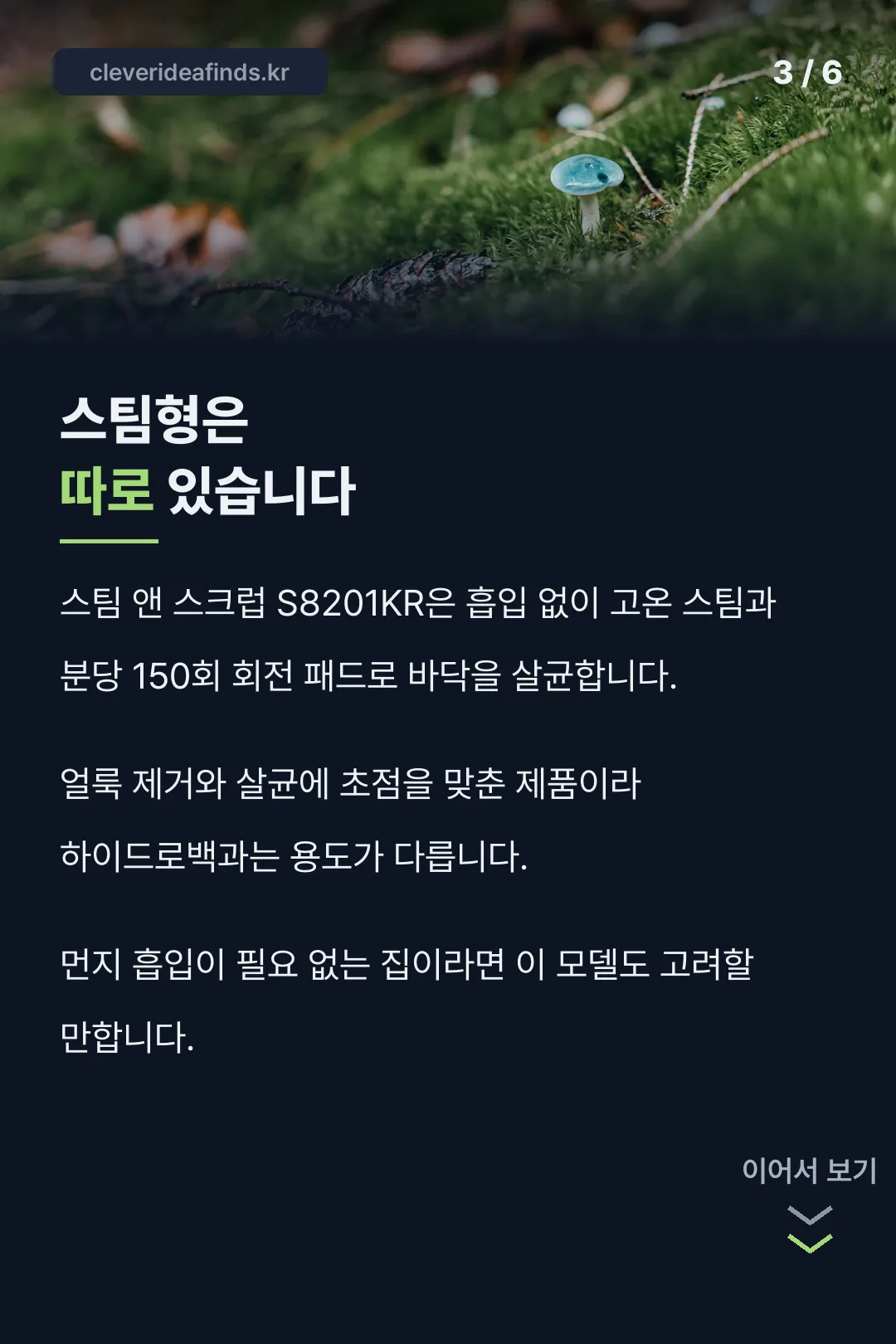 스팀형 구분