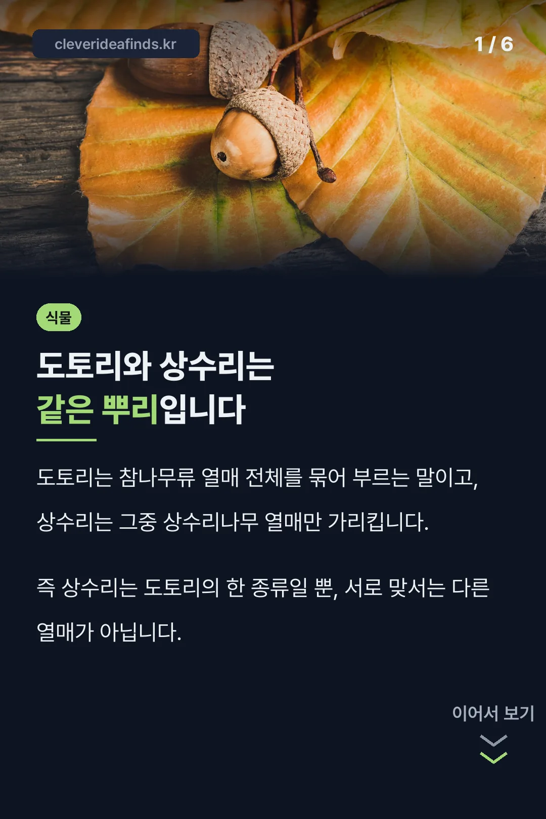 도토리와 상수리는 같은 뿌리