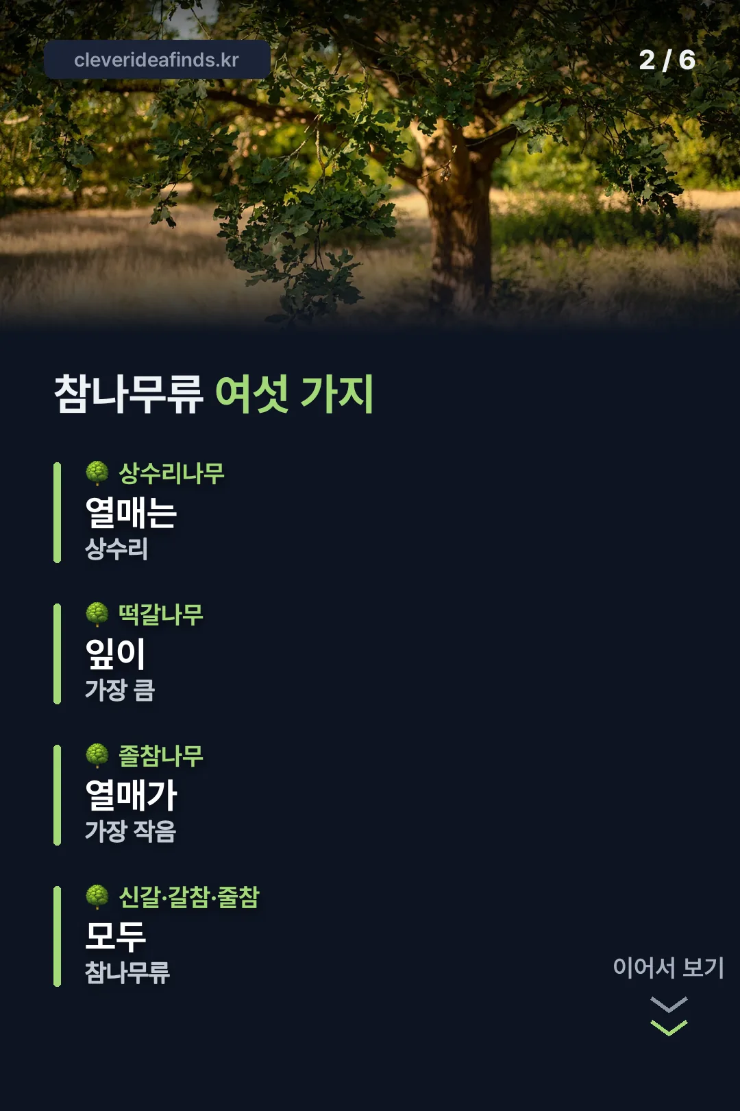 참나무류 여섯 가지
