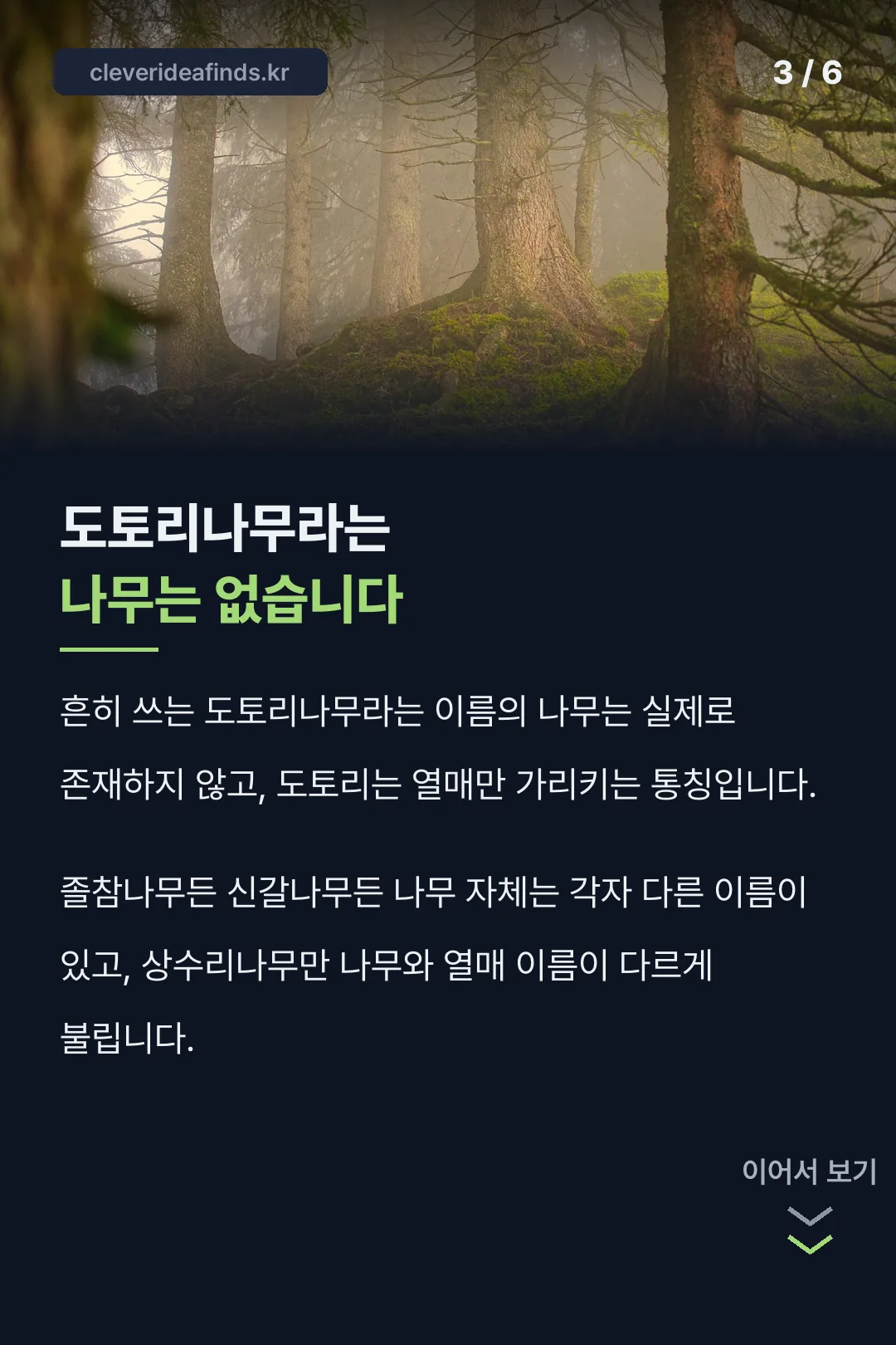 도토리나무라는 나무는 없다