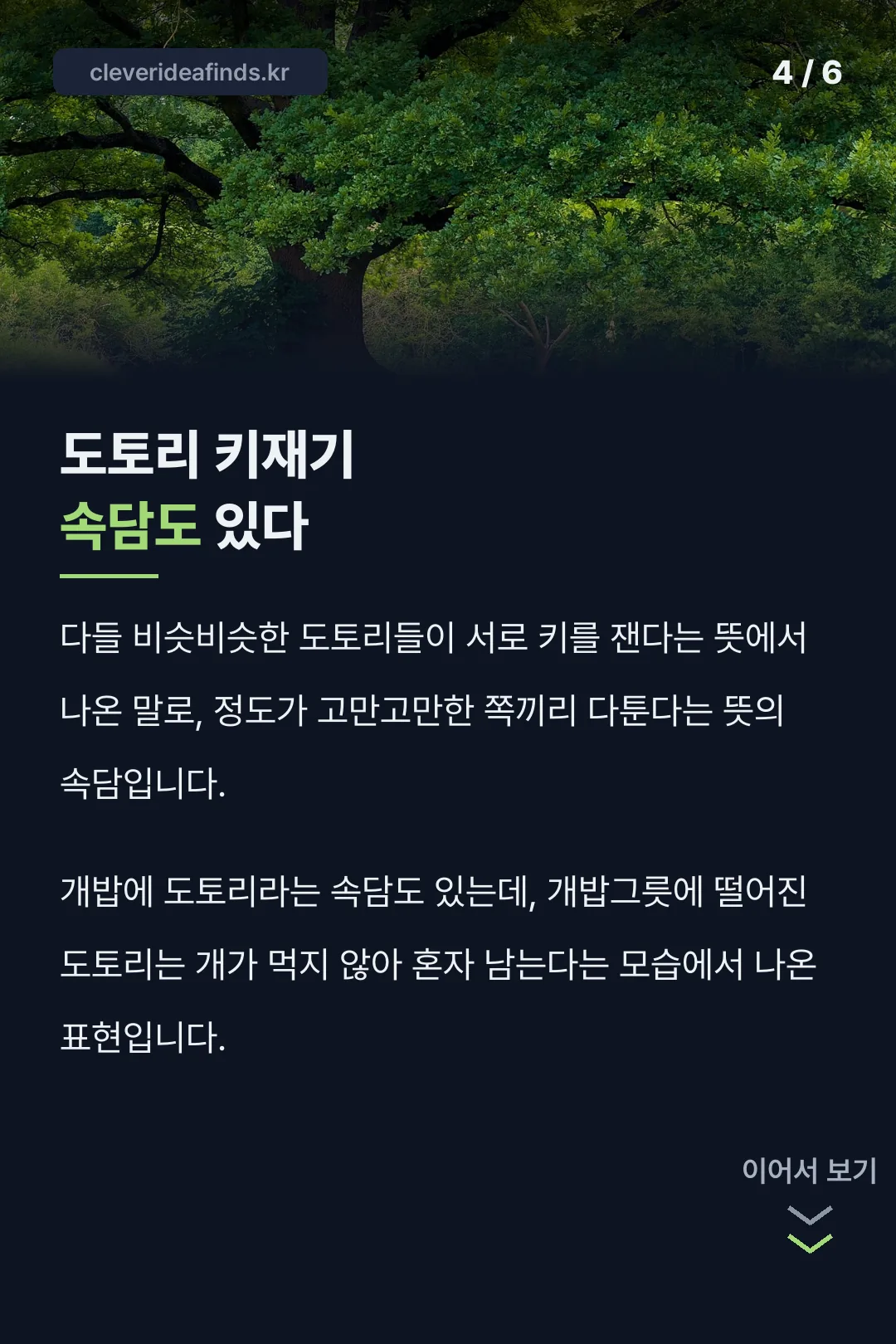 도토리 키재기 속담도 있다