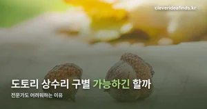 도토리 상수리 구별 — 애초에 다른 열매가 아니었습니다