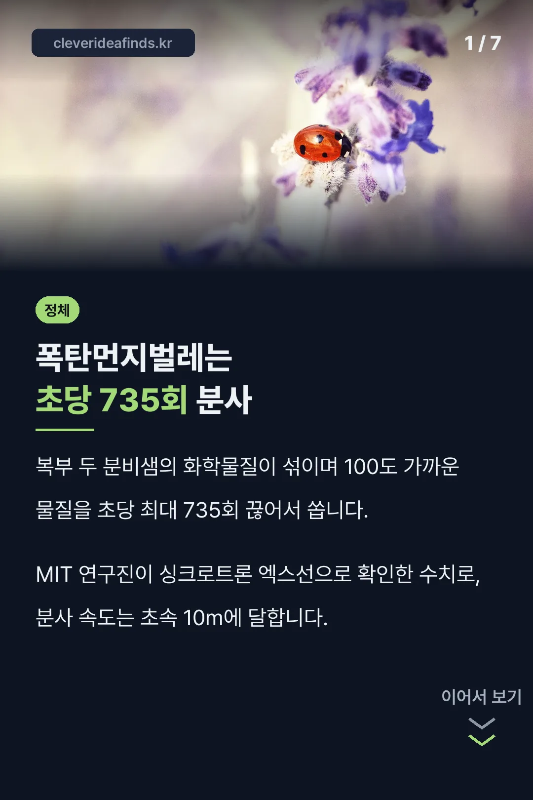폭탄먼지벌레 분사 속도
