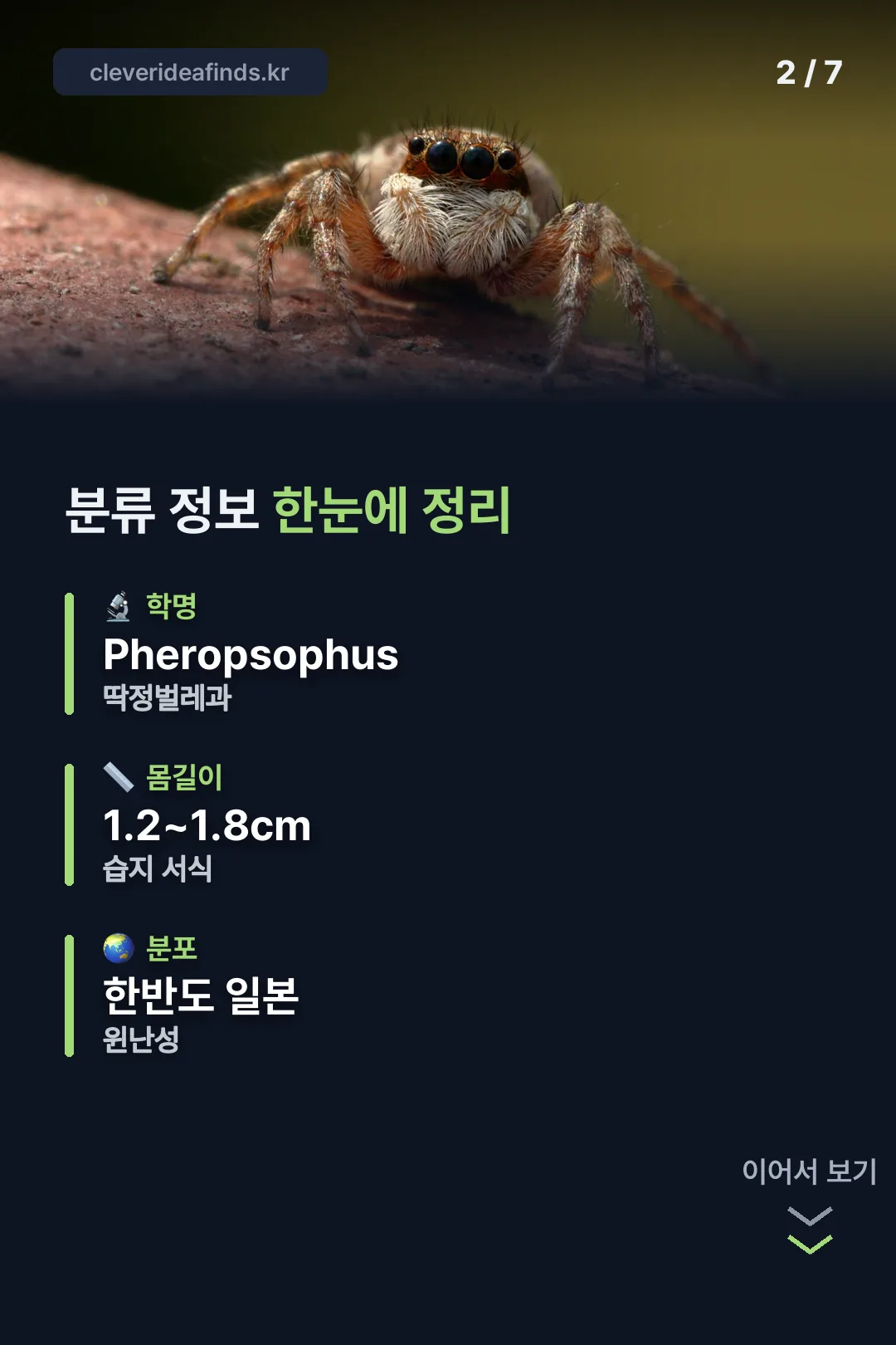 분류 정보 한눈에