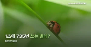 폭탄먼지벌레, 초당 735회 쏘는 몸속 화학공장의 비밀
