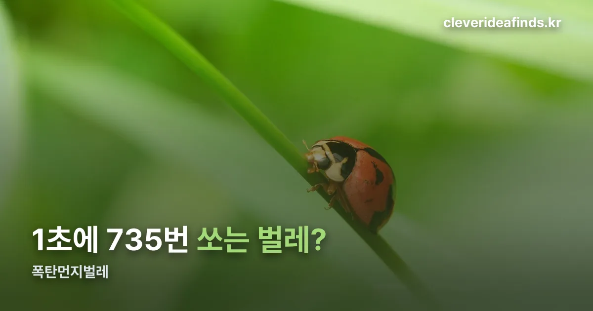 폭탄먼지벌레 정리 썸네일