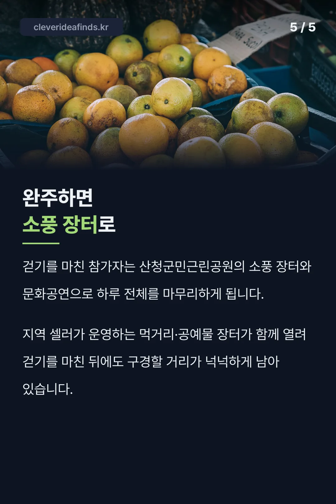 완주 후 소풍 장터