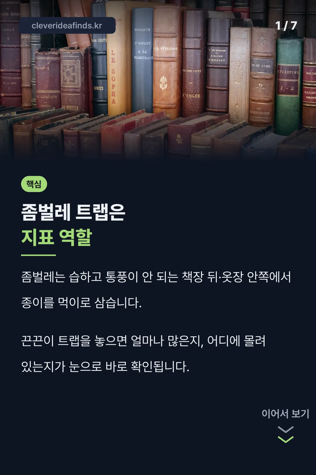 좀벌레 트랩 핵심 결론