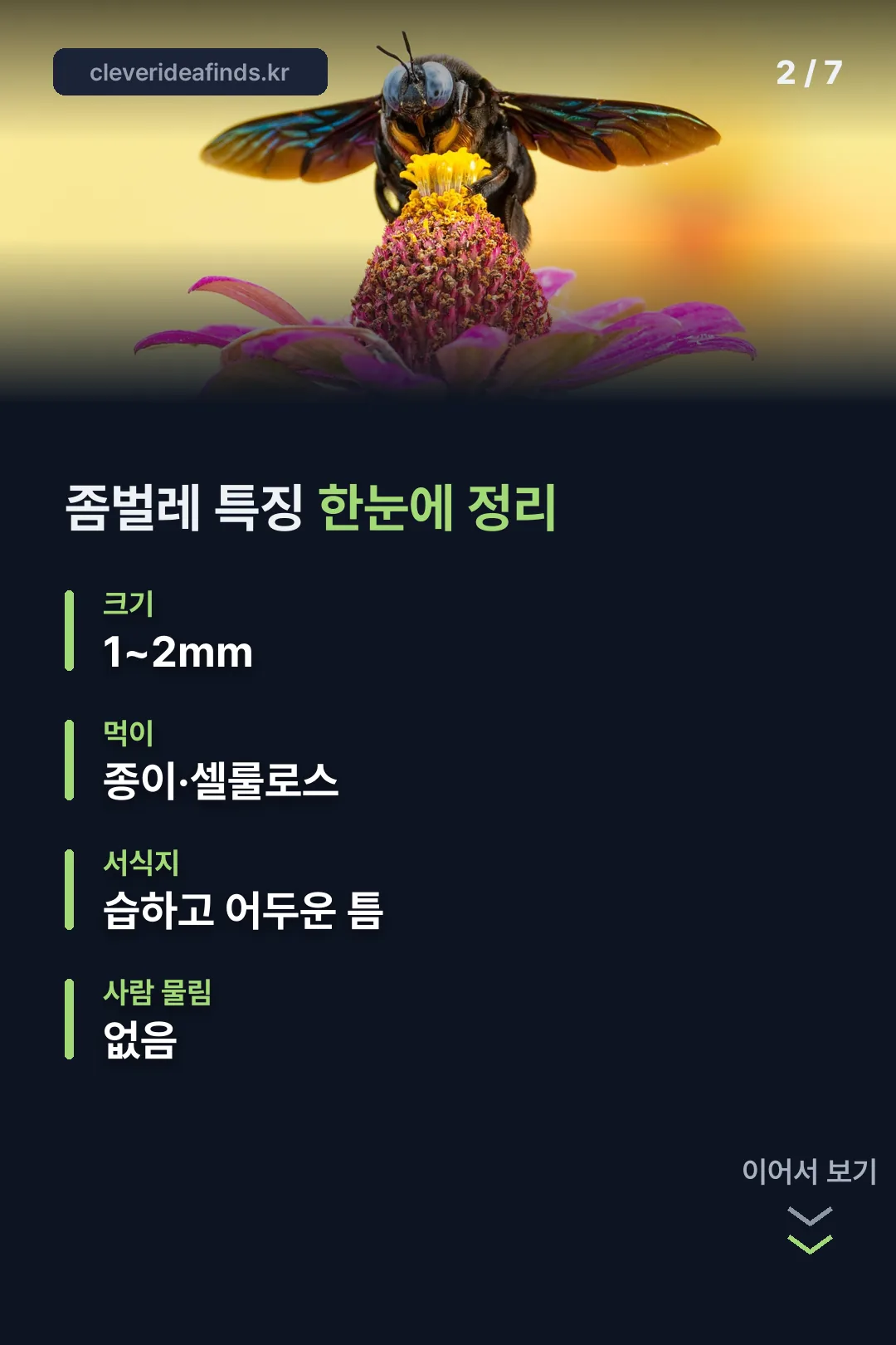 좀벌레 특징 정리표