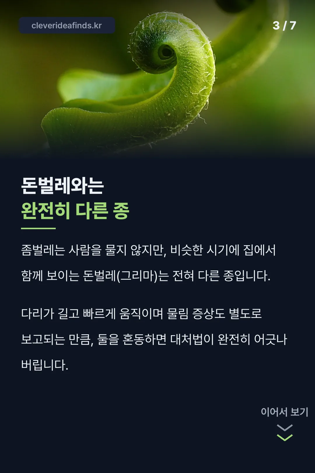 돈벌레와 좀벌레 비교