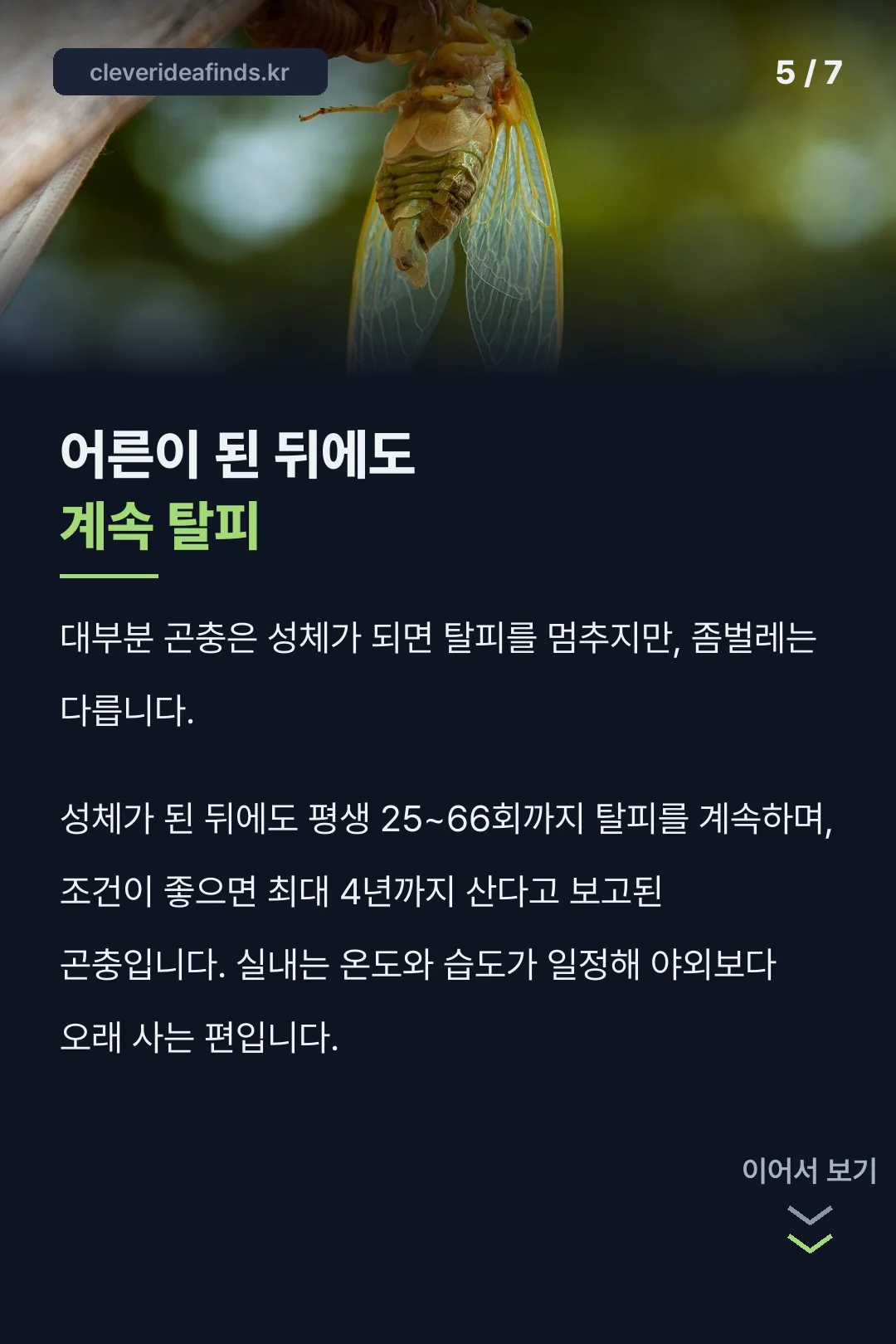 좀벌레 평생 탈피 횟수
