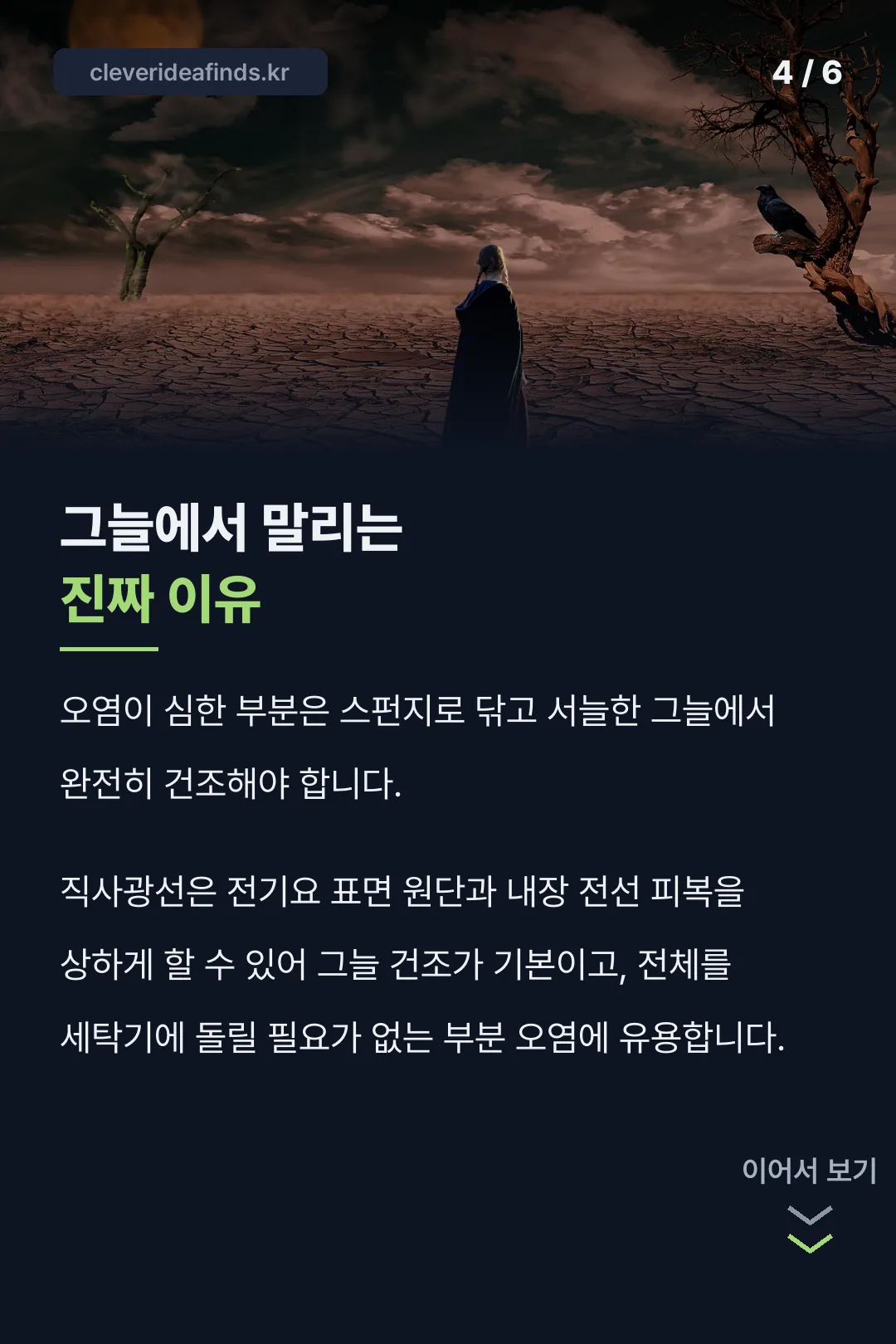 그늘 건조의 이유