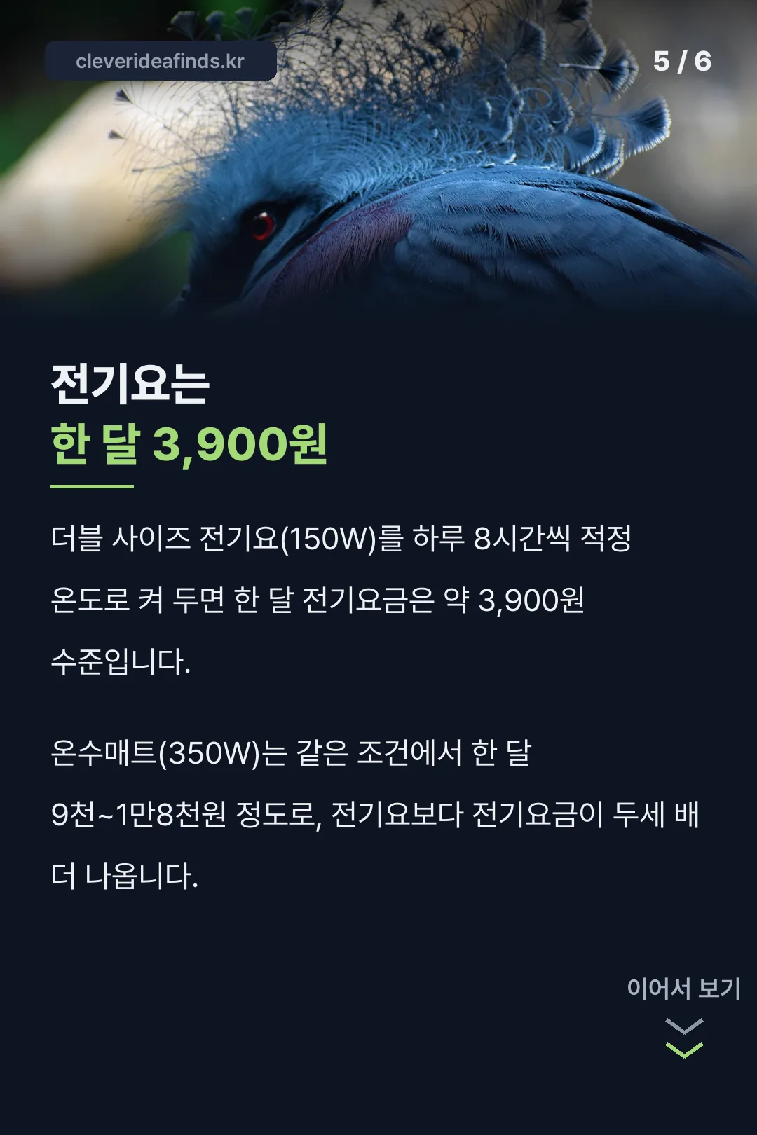 전기요 한 달 전기요금