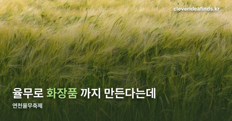 연천율무축제 정리 썸네일